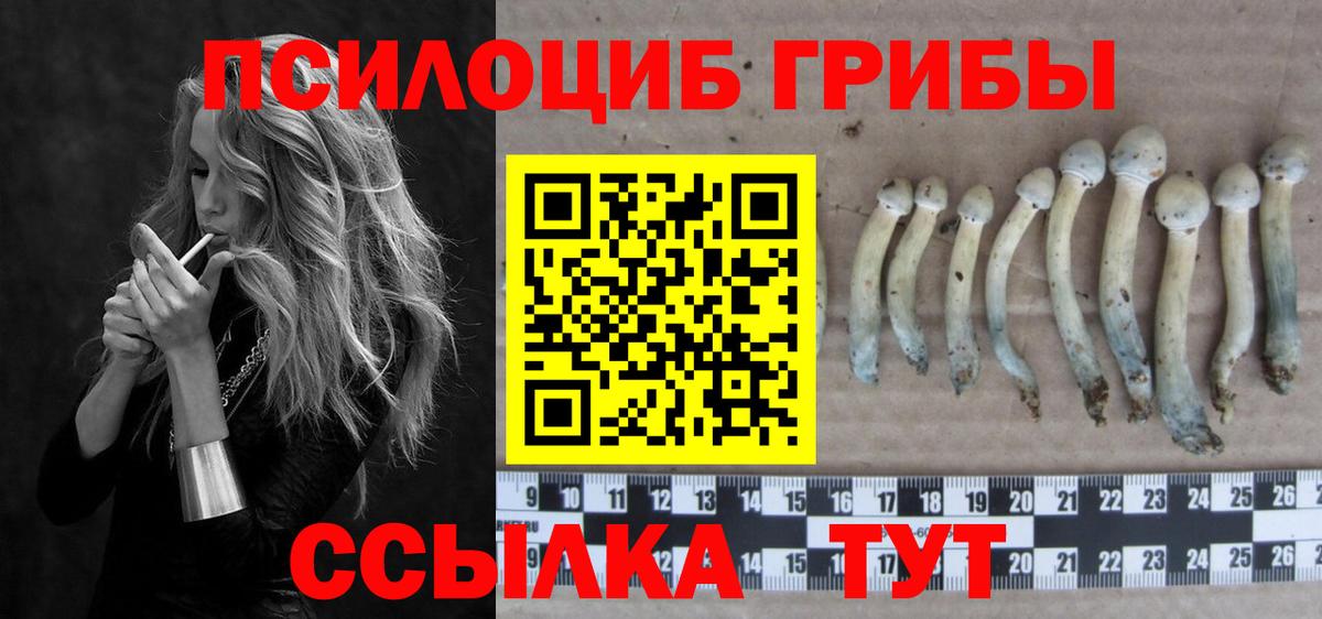 Псилоцибиновые грибы Cubensis  Вход с VPN  Новоуральск 